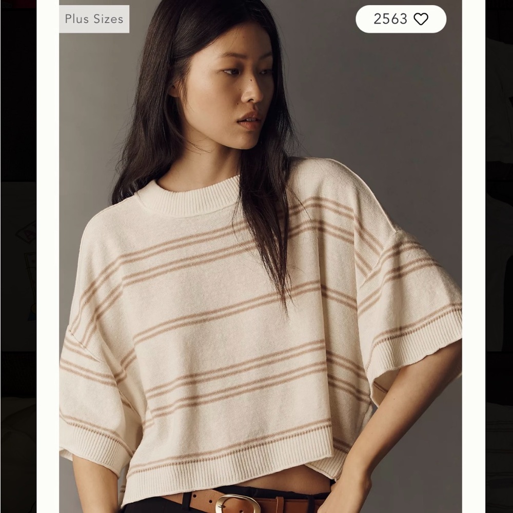 Anthropologie Cream and Tan Striped Short-Sleeve Sweater